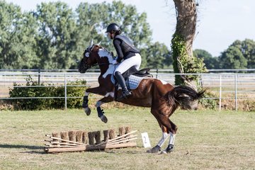 Bild 214 - Pony Akademie Turnier